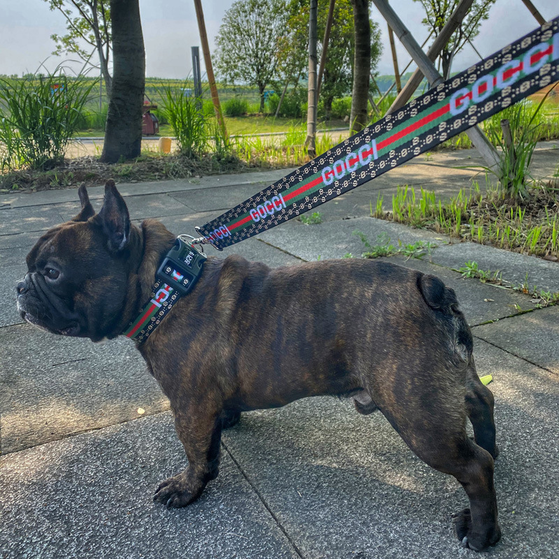 Pet dog collar and lead luxury fashion pet harness brand custom dog harness collar leash set