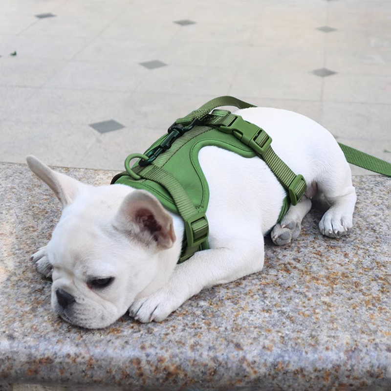 Adjustable Pet Chest Dog Harness Breathable Vest Outdoor Training Harness for Small Medium Dogs Harness and Leash for Walking