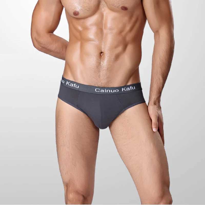 10 Pieces/lot Mesh Silk Male Underwear Penis Sexy Gay Breathabel Briefs Bamboo Fiber Bodysuit Plus Size Boy Slip Solid UnderpantX240910