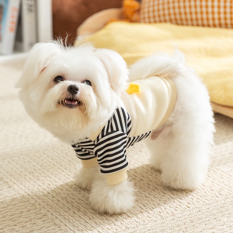 Thin Autumn Winter Dog Hoodies Cute Dog Clothes 2024 Girls Dog Outfit Pet Dog Coat with D-Ring Puppy Sweatshirt Chihuahua Jacket