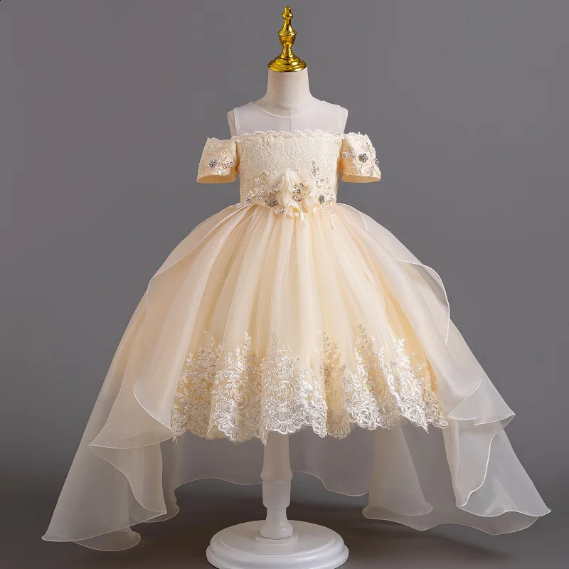 Summer Birthday Party Girl Elegant Evening Dress Fluffy Path Dress Embroidered Flower Girl Princess Dress 240902