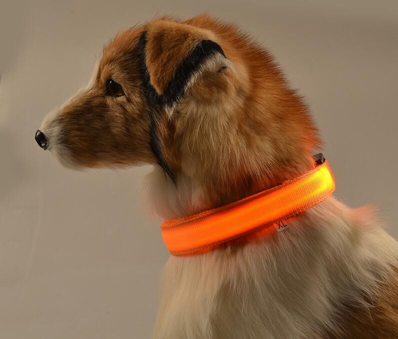 Hot Selling USB Charging light up dog collar LED Pet Dog Collar and Leash Set