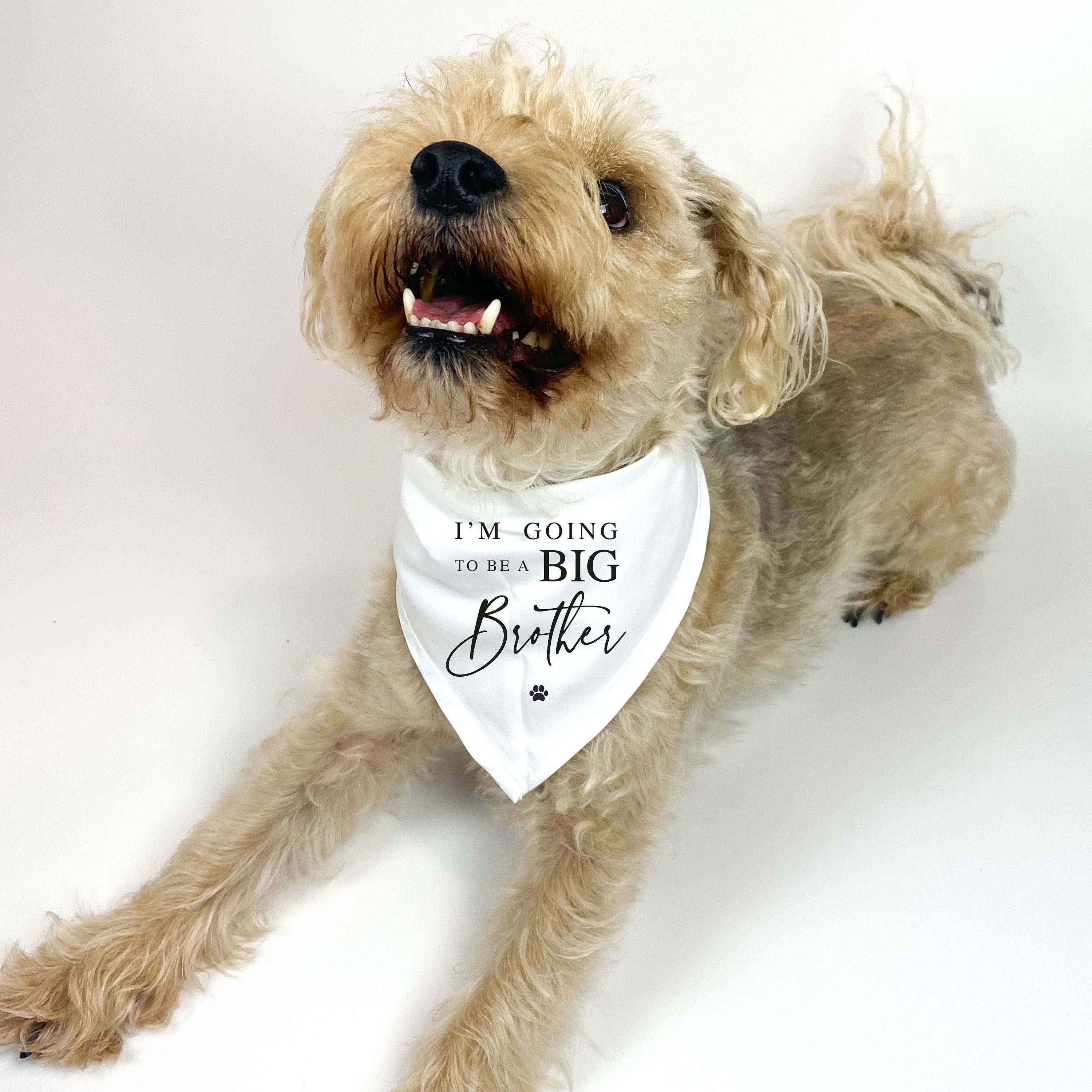 I'm going to be a Big BROTHER printed Dog Neckerchief Pregnancy Announcement Pet bandada Big Brother Dog to be Baby Idea Gift