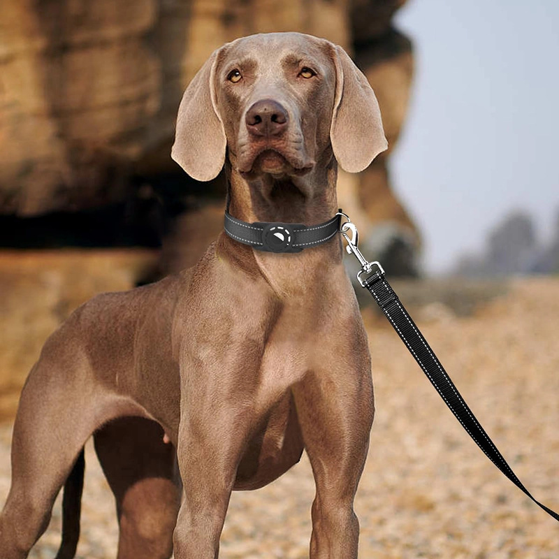 Pet Leash Nylon Webbing Dog Leash Night Reflective Explosion-proof Dog Leashes for Medium and Large Dogs and Cats Outdoor Travel