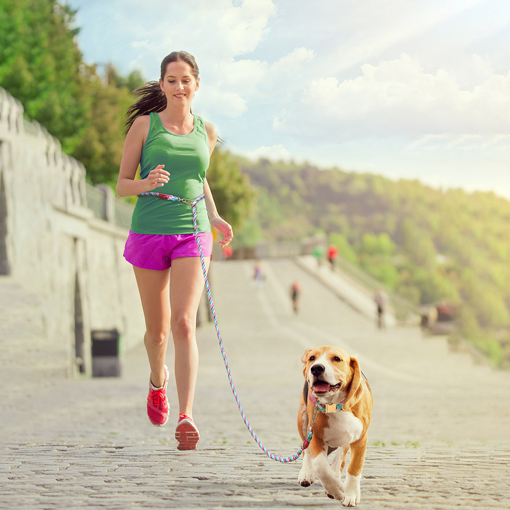 Candy Colors Dog Collar,Polyester Cotton Pet Collar with High Quality Metal Buckle & Alloy D-Hook for Large, Medium Small Dogs