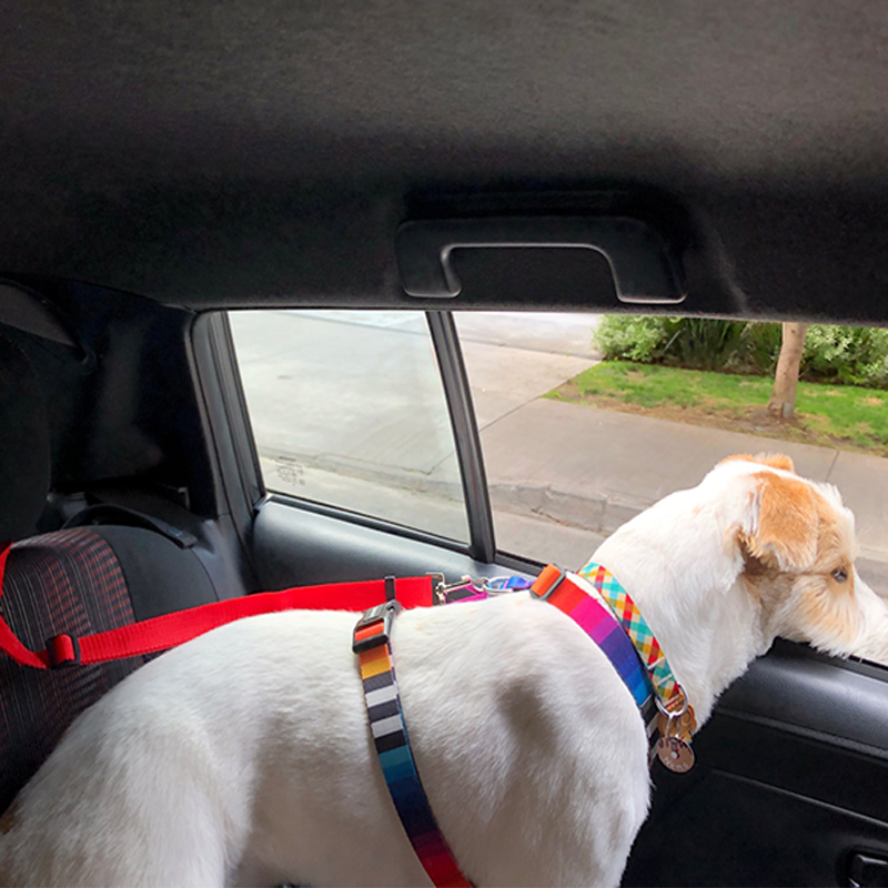 Adjustable Pet Car Seat Belt Nylon Lead Dog Leash Backseat Safety Belt OEM Custom Designer Dog Harness Collar Pet Accessories