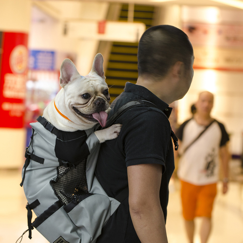 Breathable Dog Backpack For Small Medium Large Dogs Outdoor Pet Travel Dog Carrier Bag For Large Golden Retriever Bulldog Bags