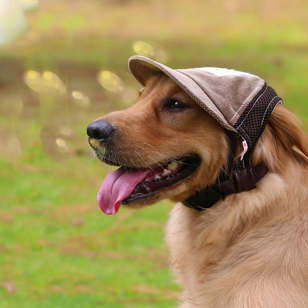 For Small Medium Large Dogs Adjustable Breathable Sports Mesh Sun Hat Summer Hat Dog Baseball Cap Pet Accessories