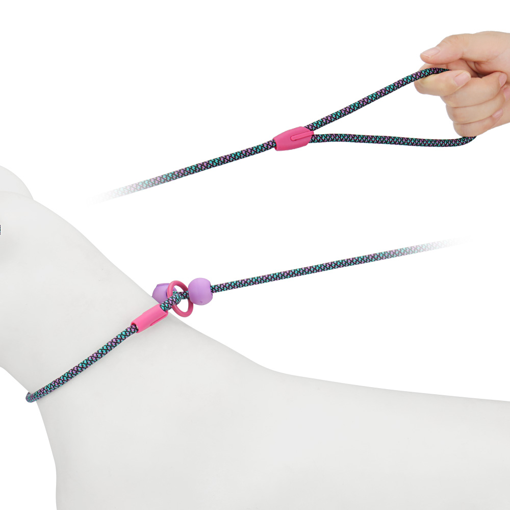 Lightweight Dog Training Leash Durable Slip Leads for Dogs Classic Dog Rope Slip Lead Dog Leash for Small Medium Dogs & Puppies