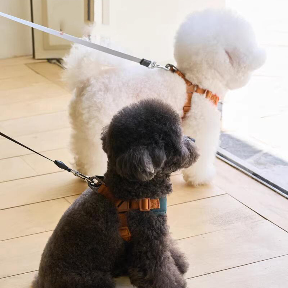 Cute Bear Pet Leash Set Vest Strap Adjustable Breathable Harness for Puppy Cat Dog Supplies