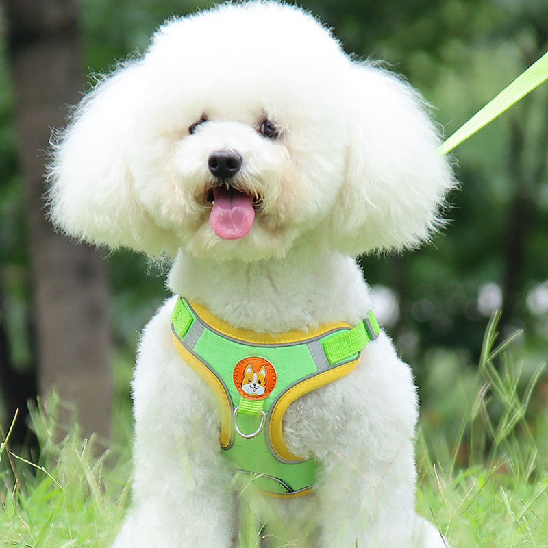 Pet Dog Harness and Leash Set Adjustable Flannel Chest Harness Reflective Breathable For Small Dogs Teddy Chihuahua Pet Supplies