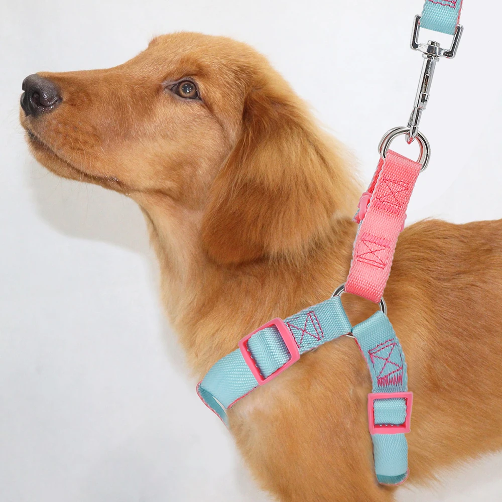 Macaron Dog Harness and Leash Set Vest Style Outdoor Dog Leash Adjustable Small and Medium Dog Harness and Leashes Pet Supplies