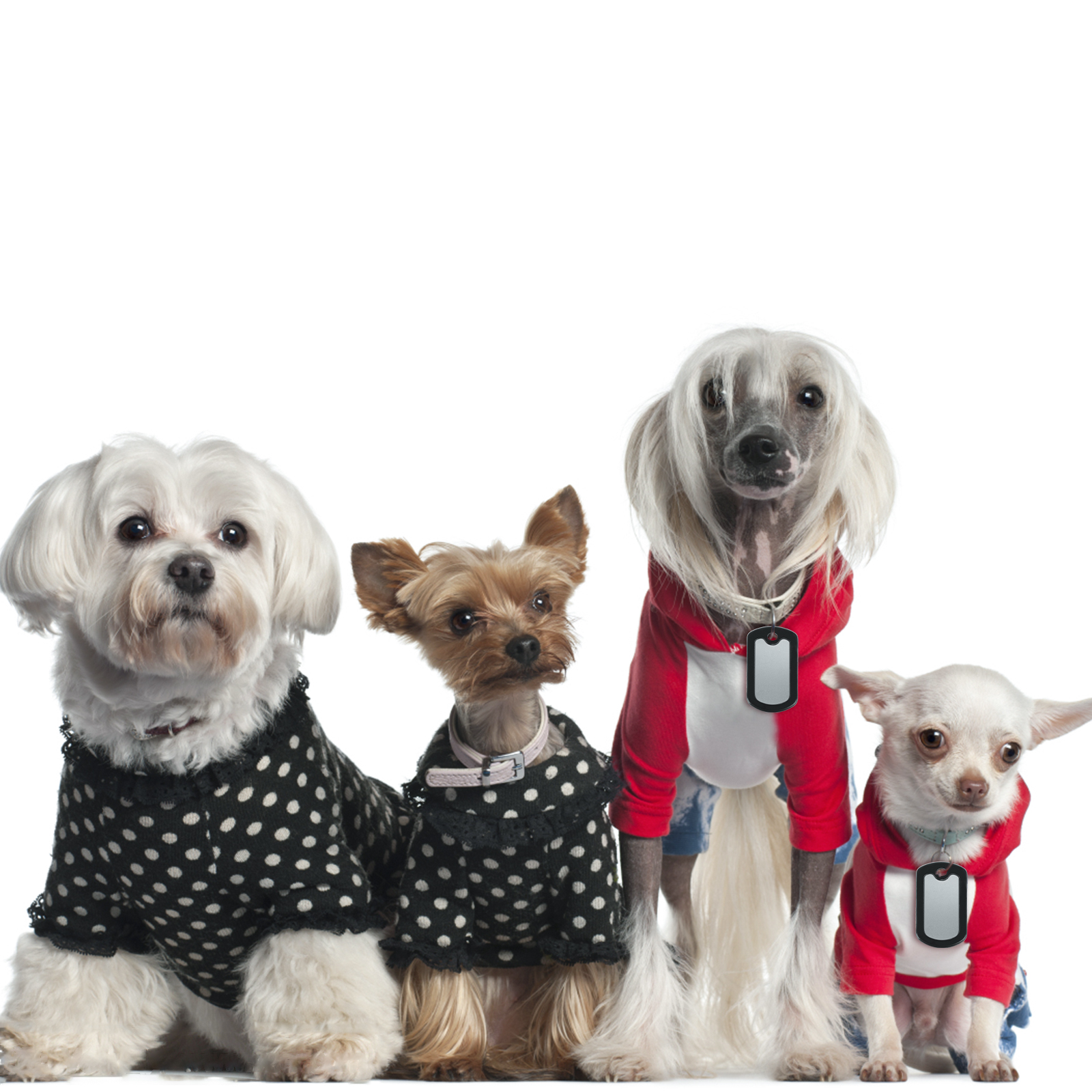 20Pcs Silicone Dog ID Tags Necklace Protective Cover Dogs Tag Silencer Muffler Ring 3x5cm Black Protective Sleeve Accessories