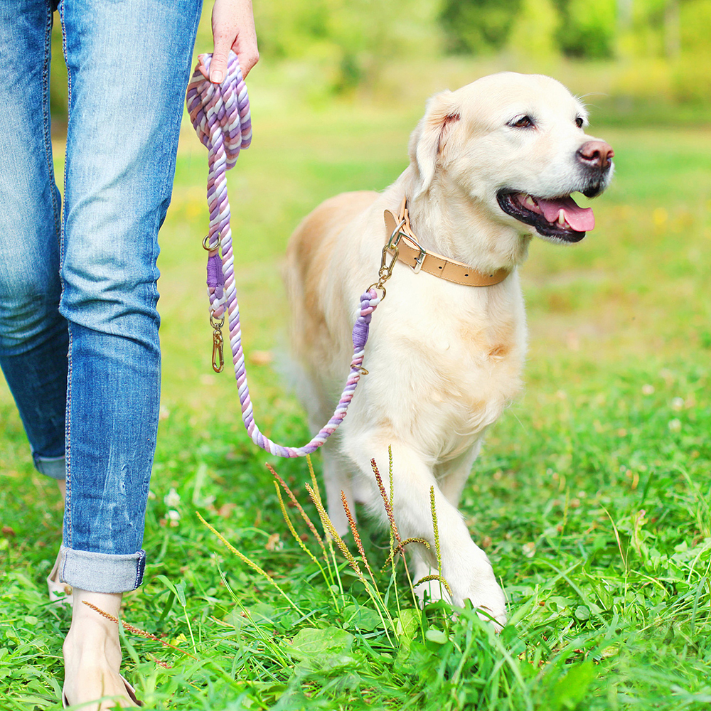 Multifunctional Pet Leash,medium and Large Dog Leash for Running & Training with Adjustable Metal Ring Pet Accessories Supplies