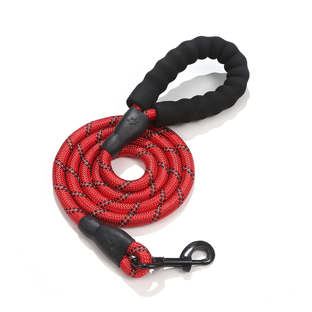 2024 Most Popular Customizable 5M Dog Leash Explosion-Proof Nylon Personalized Animal Pattern Lights Wear-Resistant Lace Pets