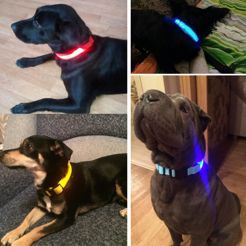 Hot Selling USB Charging light up dog collar LED Pet Dog Collar and Leash Set