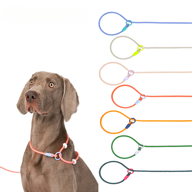 Dog Leash Slip Lead Rope Collar Strong Lightweight Braided Dog Training Leash No Pull Training Lead Leash for Medium & Small Dog