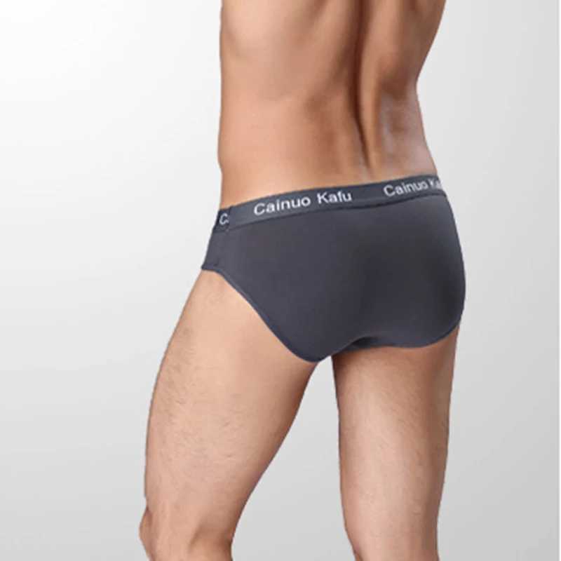 10 Pieces/lot Mesh Silk Male Underwear Penis Sexy Gay Breathabel Briefs Bamboo Fiber Bodysuit Plus Size Boy Slip Solid UnderpantX240910