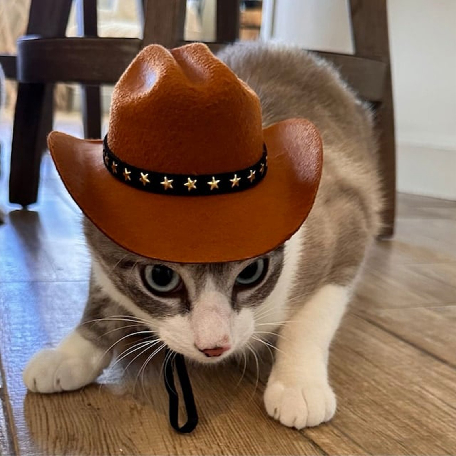 Pet Cat Cowboy Hat Cowboy Clothing Puppy Adjustable Hat Suitable For Small Dogs And Cats Birthday Party Decoration Photo Shoots