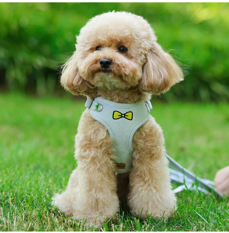 Wholesale Embroidered Vest Puppy Harness Corduroy Pet Chest Harness Dog Leash