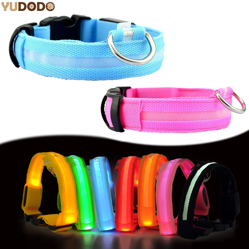 Hot Selling USB Charging light up dog collar LED Pet Dog Collar and Leash Set