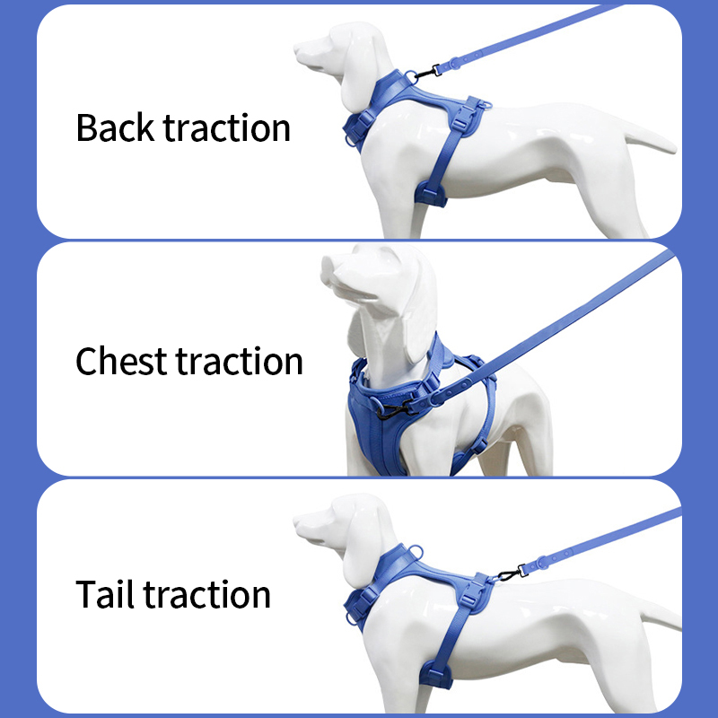 Adjustable Pet Chest Dog Harness Breathable Vest Outdoor Training Harness for Small Medium Dogs Harness and Leash for Walking