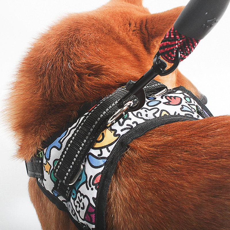 Dog Leash With Comfortable Padded Handle Double Duty Traction Rope Dog Accessories for Small Large Dogs Enhance Safety And Contr