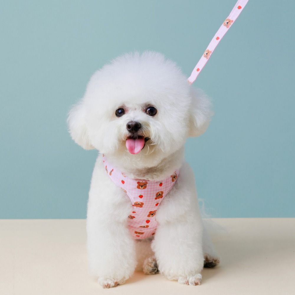 Cartoon Dog Chest Strap Backpack Adjustable Breathable Bear Pet Backpack with Traction Rope Dog Snacks Bag