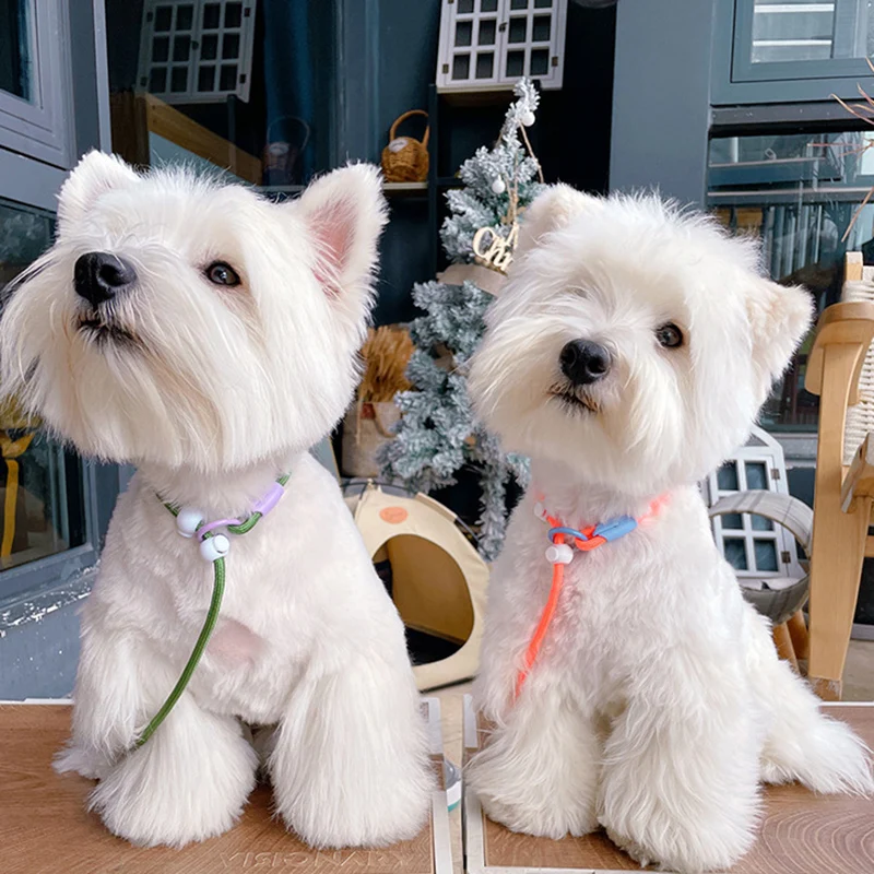 Lightweight Dog Training Leash Durable Slip Leads for Dogs Classic Dog Rope Slip Lead Dog Leash for Small Medium Dogs & Puppies