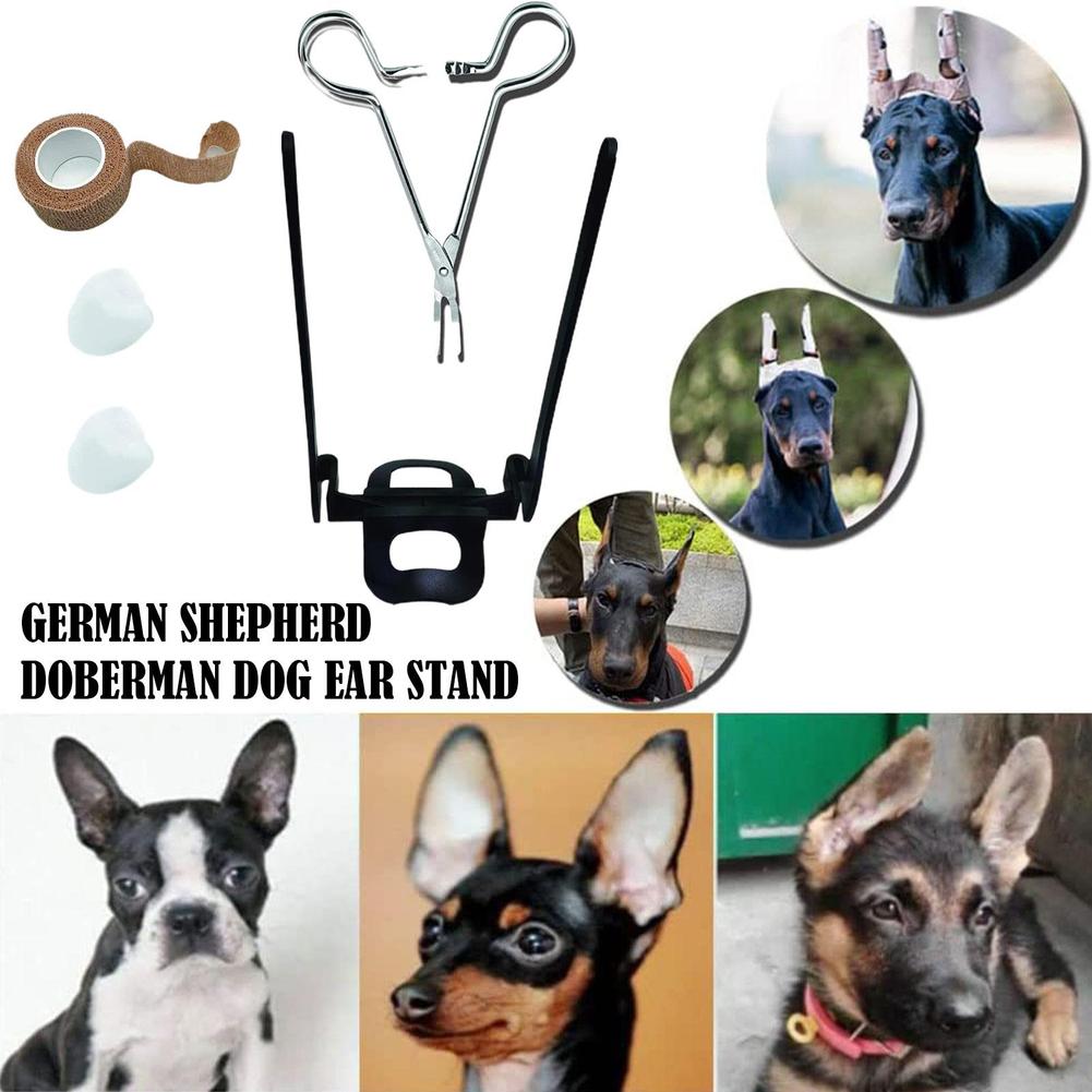 Dog Supplies Puppy Ear Care Tools Ear Stand Up Sticker Dog Ear Stand Fixed Support Tool For Doberman Assist Erected Ear Too I8F7