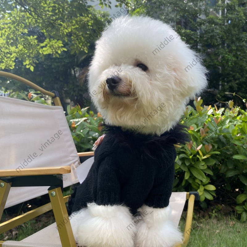 Pet Clothes Dog Clothing New Pet Fashion Brand Knitted Sweater Dogs And Cats Luxurious For Corgi Pomeranian Hairless Cat Bichon Frise Clothes