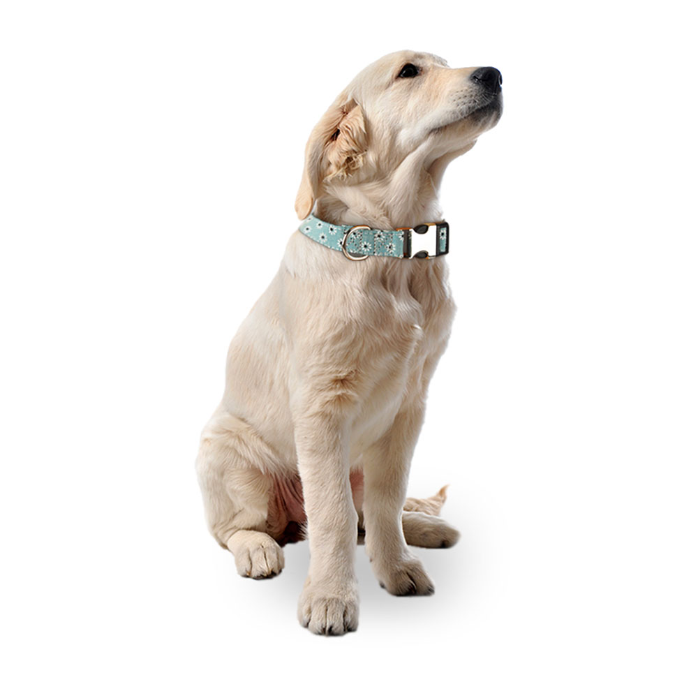 Newest Cute Dog Collar Floral White Daisy ,Adjustable Printing Pet Collar with Metal Buckle for Dogs and Cats Pet Accessories