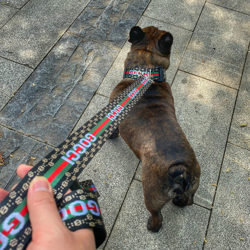 Pet dog collar and lead luxury fashion pet harness brand custom dog harness collar leash set