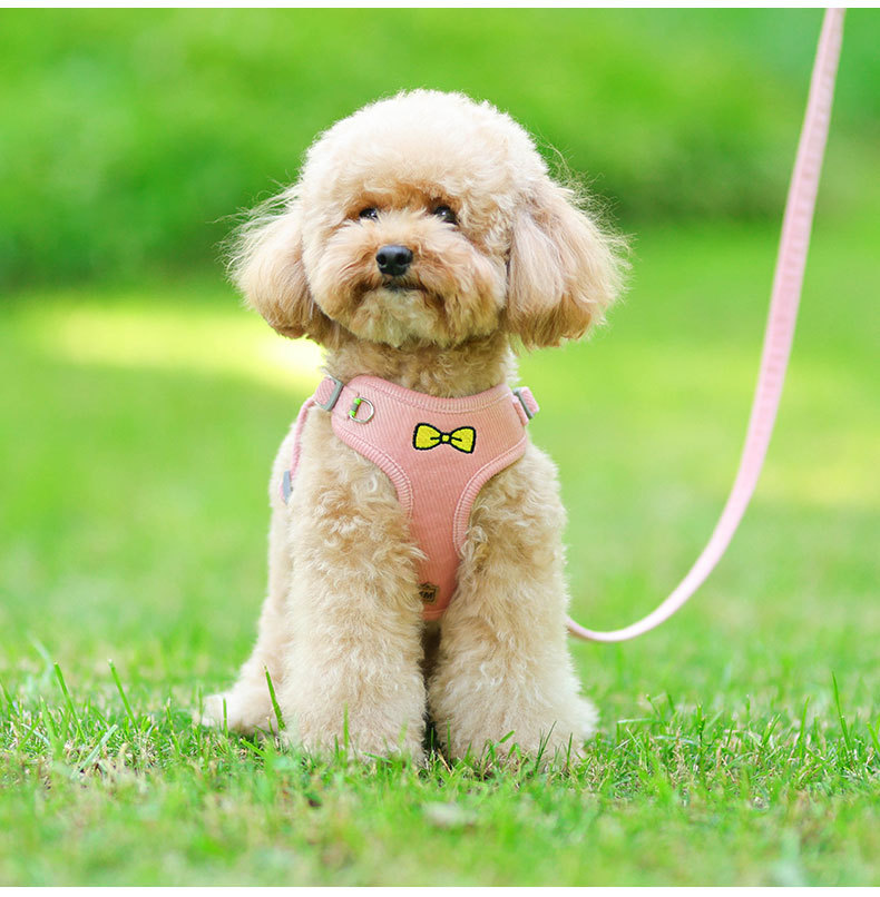 Wholesale Embroidered Vest Puppy Harness Corduroy Pet Chest Harness Dog Leash