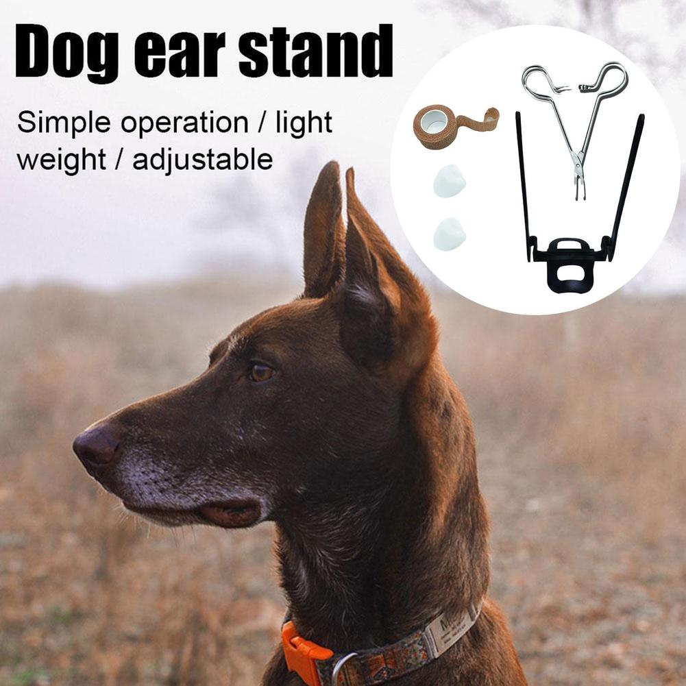 Dog Supplies Puppy Ear Care Tools Ear Stand Up Sticker Dog Ear Stand Fixed Support Tool For Doberman Assist Erected Ear Too I8F7