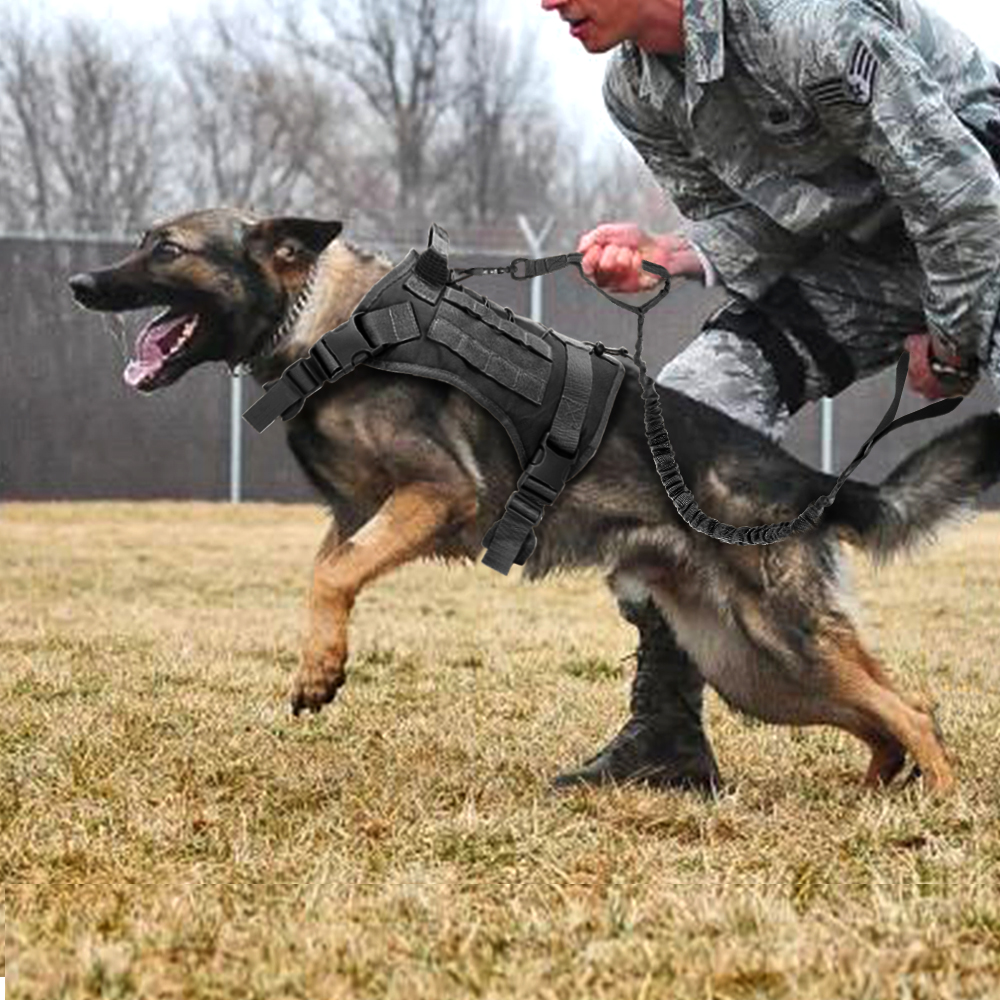 Dog Training Harness Leash Military Tactical Dogs Harnesses Working Dog Vest Pet Bungee Leash For German Shepherd Bulldog