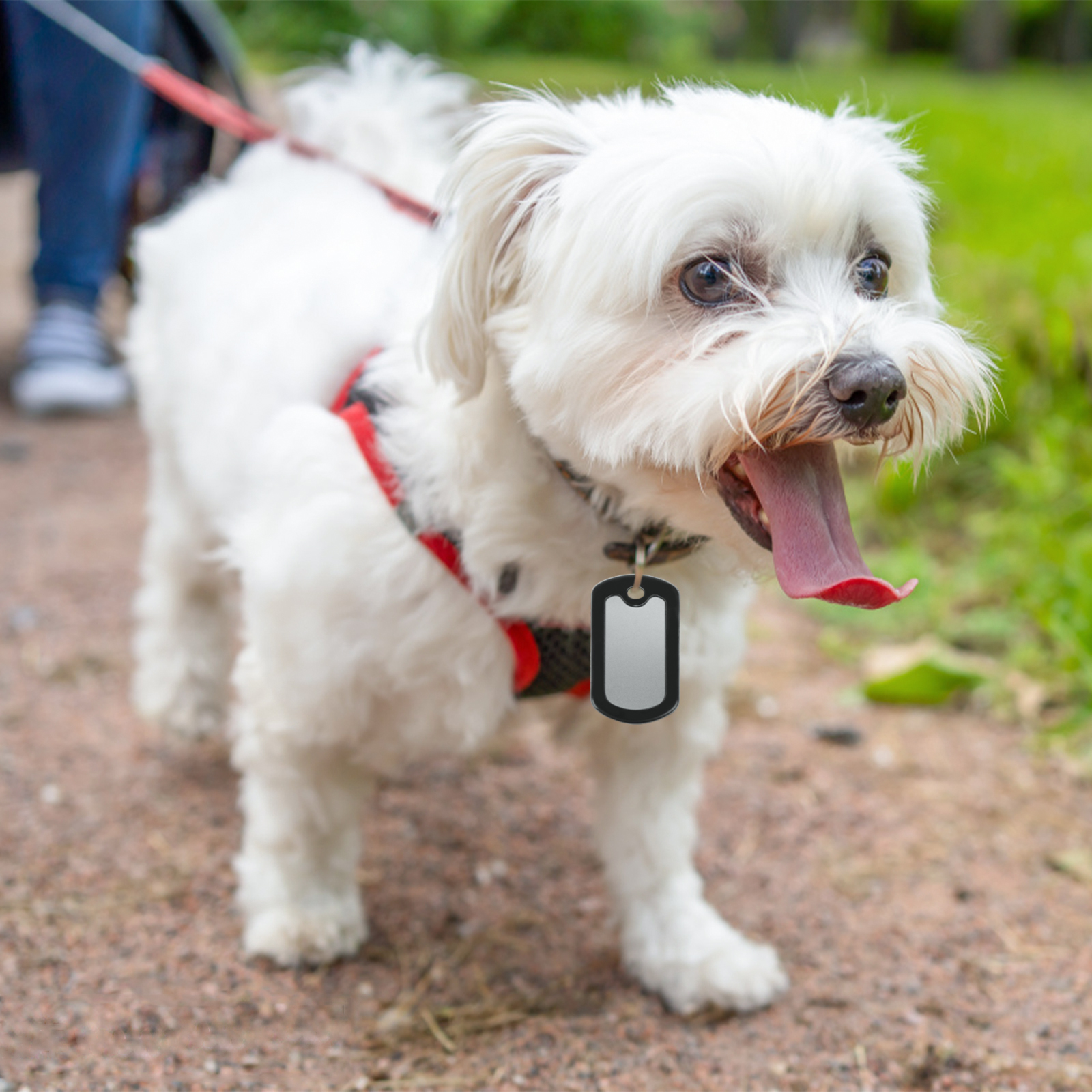 20Pcs Silicone Dog ID Tags Necklace Protective Cover Dogs Tag Silencer Muffler Ring 3x5cm Black Protective Sleeve Accessories