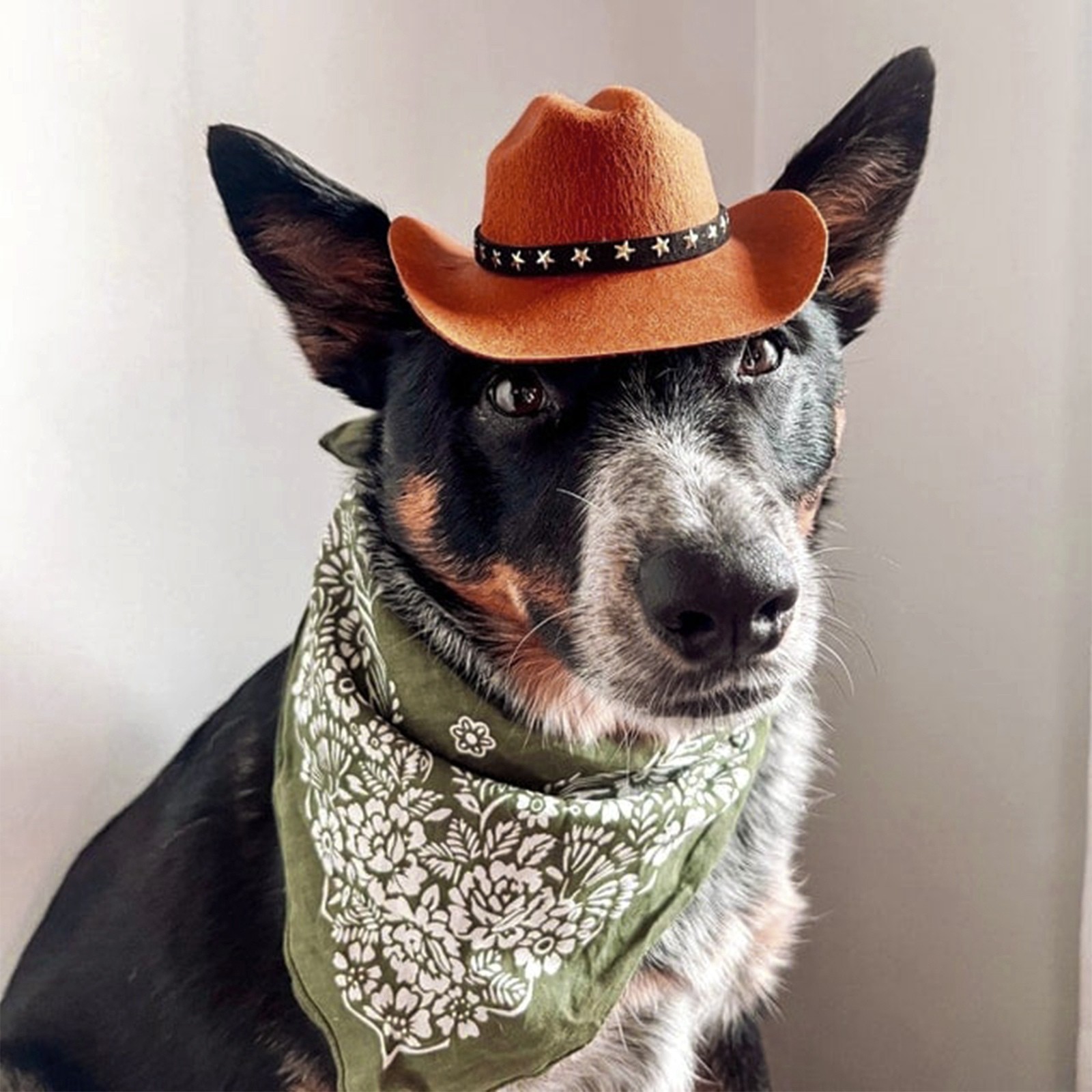 Pet Cat Cowboy Hat Cowboy Clothing Puppy Adjustable Hat Suitable For Small Dogs And Cats Birthday Party Decoration Photo Shoots
