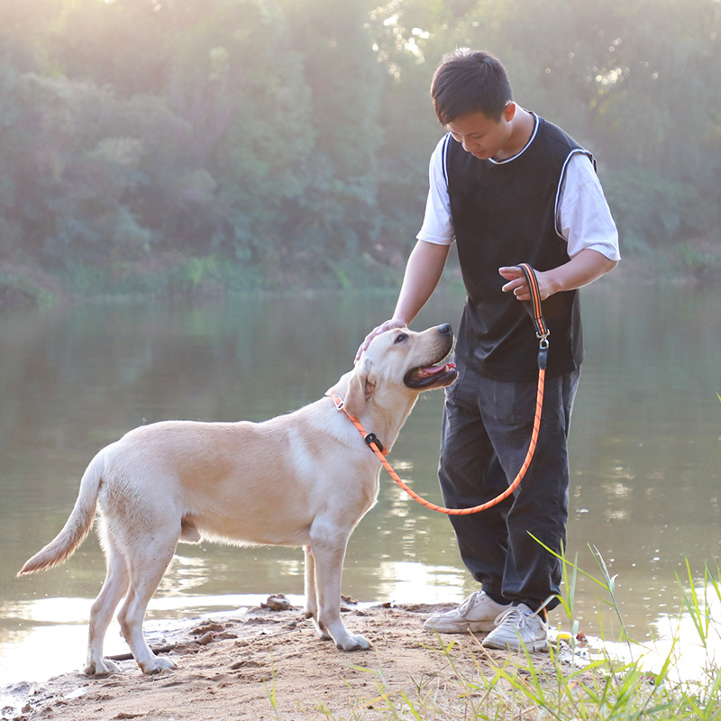 P Chain Dog Leash ,large Pet One-piece Reflective Leash Anti-winding for Medium Large Dog Training and Dog Walking Pet Supplies