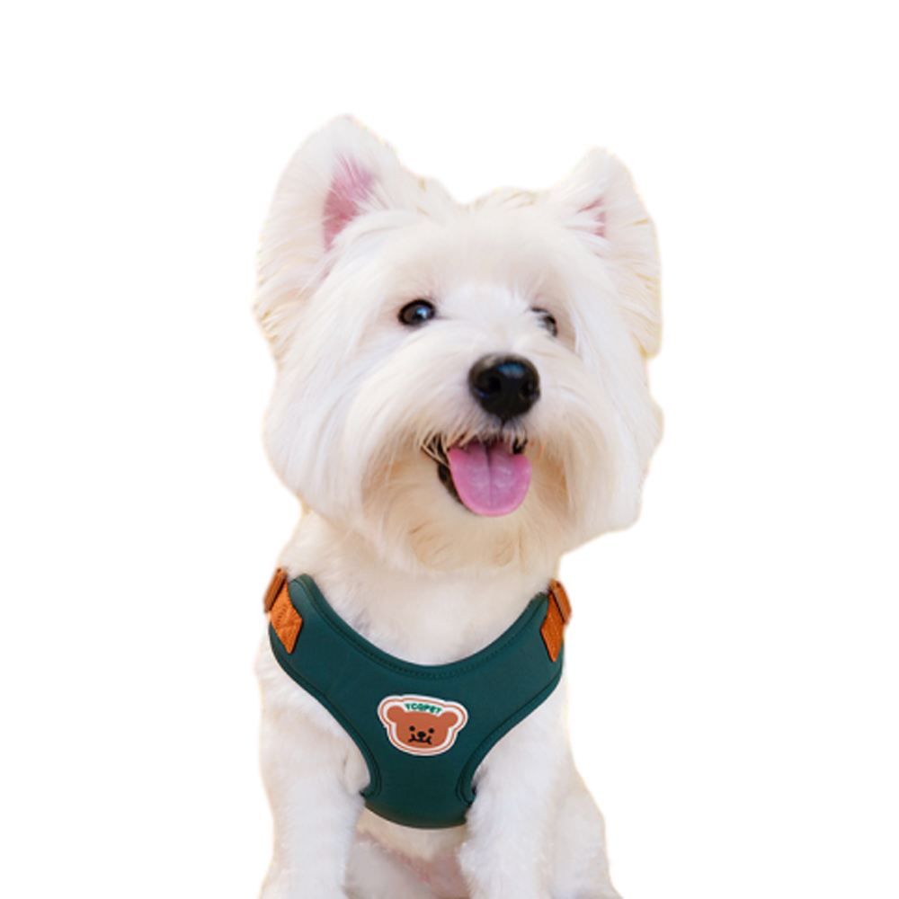 Cute Bear Pet Leash Set Vest Strap Adjustable Breathable Harness for Puppy Cat Dog Supplies