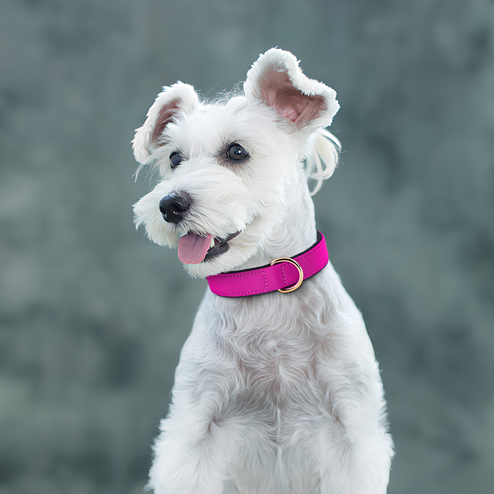 Waterproof Dog Collar Soft Padded Dogs Collars Durable Nylon Pet Pitubull Bulldog Necklace Collars for Small Medium Large Dogs