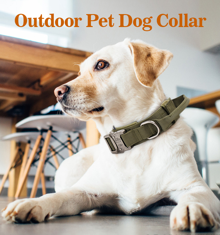 Factory High Quality Heavy Duty Metal Buckle Pet Dog Training Collar Large Dogs Collar And Leash Set Tactical Dog Collar
