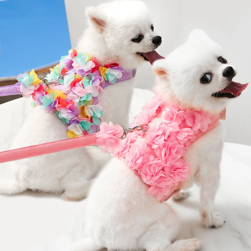 Cute Angel Wings Dog Harness Breathable Mesh Leash Set for Small Dogs Puppy Chest Collar Spring Summer Dog Walking Pet Supplies