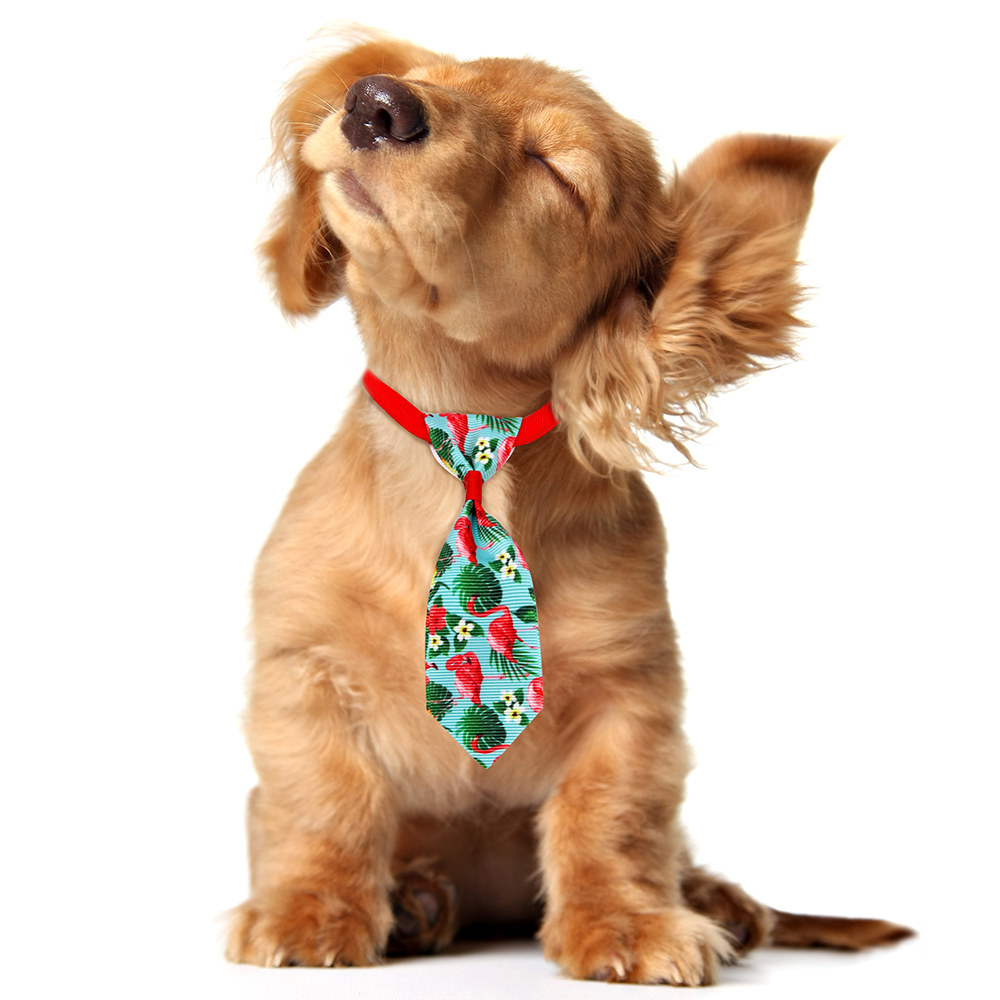 50PCS Small Dog Cat Bowtie Neckties Spring Summer Pet Dog Grooming Accessories For Dogs Pets Bow Tie Pet Products