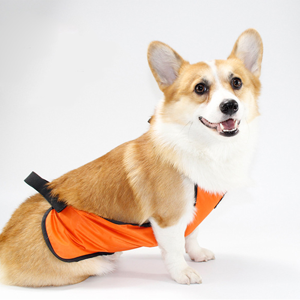 Protect Corgi Tummy Waterproof Apron Pet Dog Clothes for Small Short Leg Dogs Pets Clothing French Bulldog Pug Costume S-L