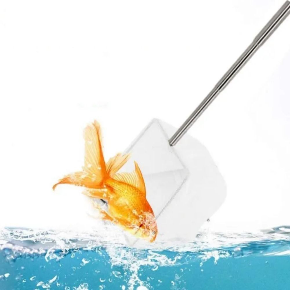 New Long Handle Goldfish Net Telescopic White Telescopic Shrimp Net Extendable Soft Aquarium Shrimp Net