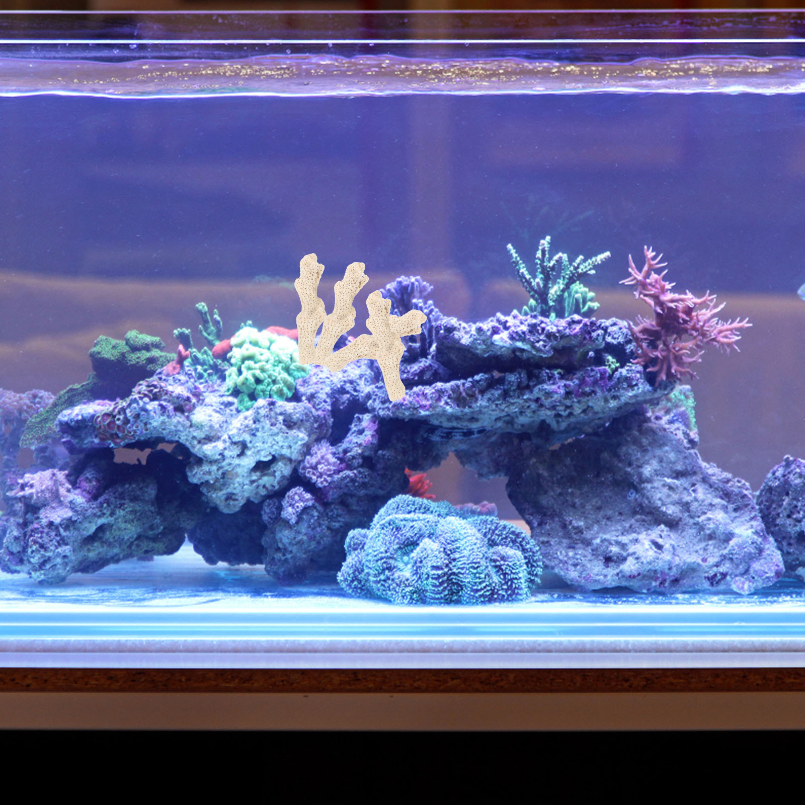 Coral Bone Sand Fish Tank Filtration Material Natural Filter Media Pond Air Filters Parts Household Aquarium Heater For