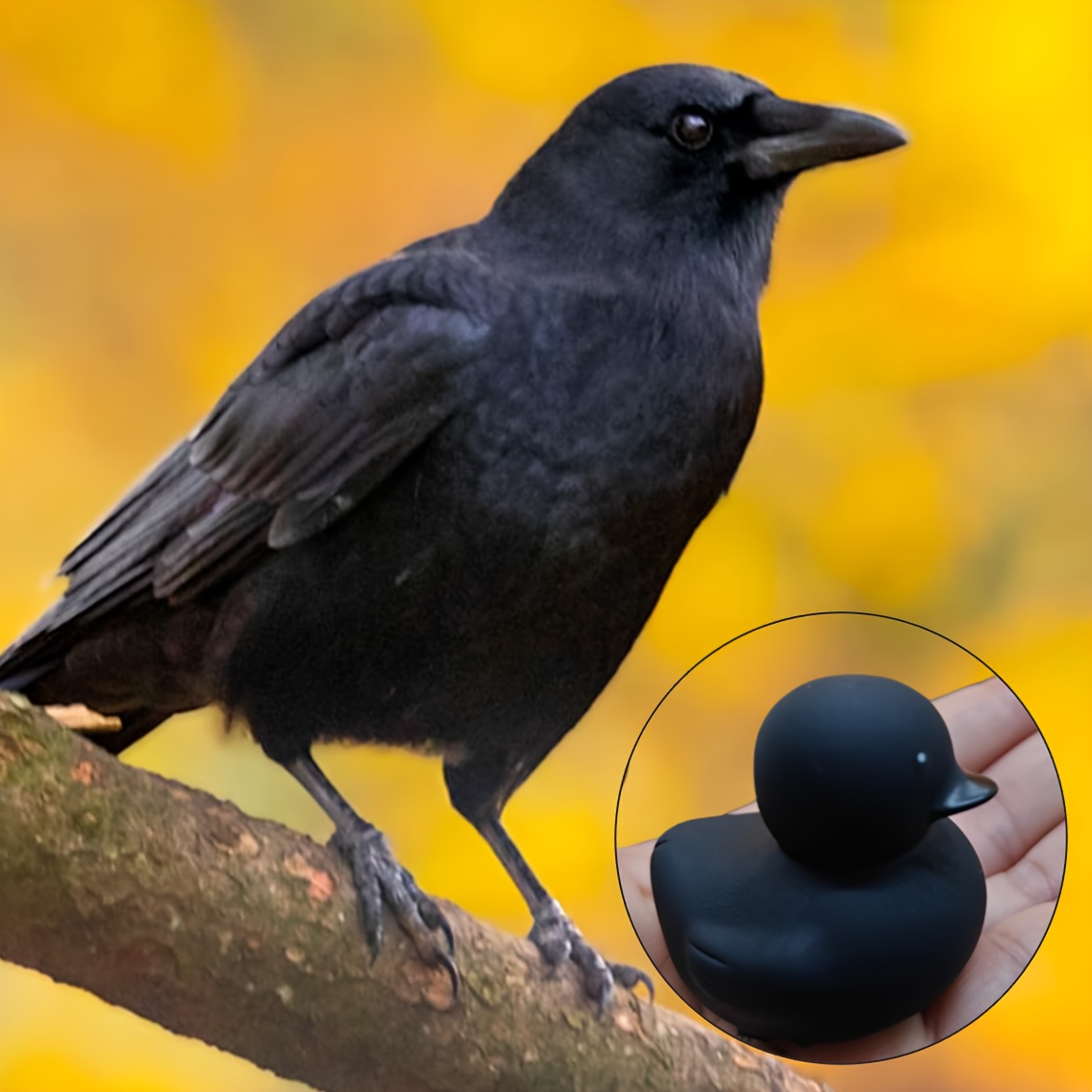 50/100pcs Halloween Rubber Ducks with Black Beaks - Perfect for Party Decor, Car Ornaments & Events ph124