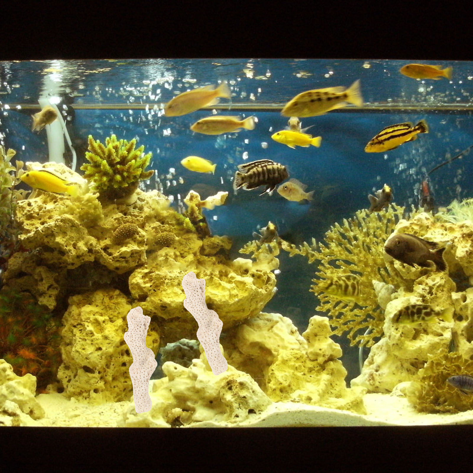 Fish Bowl Coral Bone Sand Filter Media For Aquarium Supply Tank Outdoor Accessories