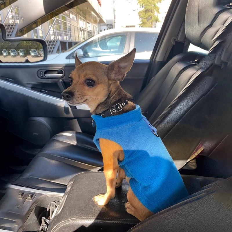 Cartoon Dog Clothes Autumn Winter Warm Pet Hoodie Coat Puppy Cute Shirt Sweater Costumes Print Jacket Small Medium Dogs Clothing